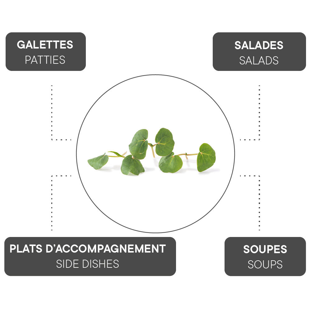 Comment associer le Sarrasin ?
