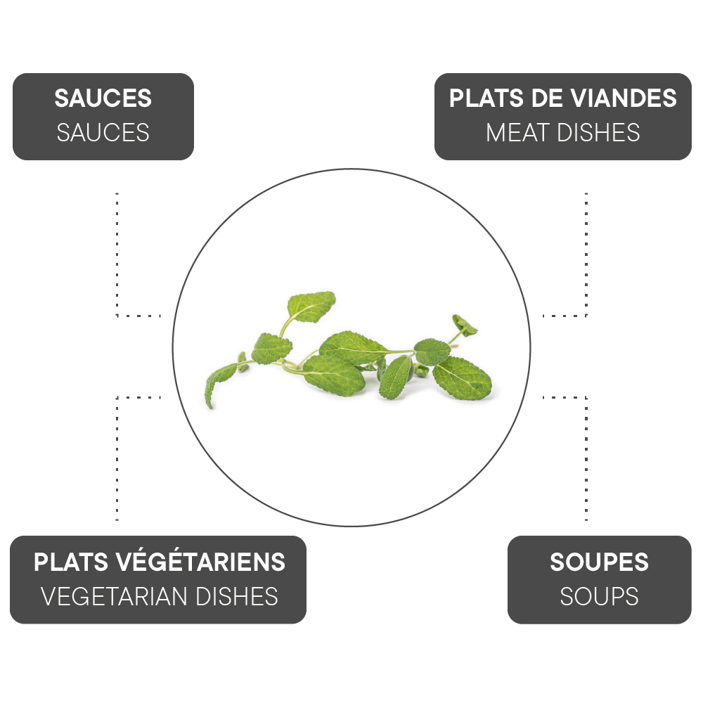 How to combine Sage?