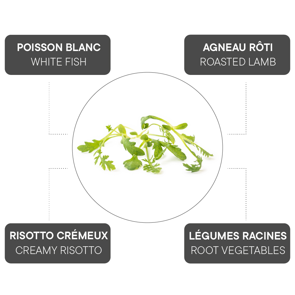 How to combine Yarrow?