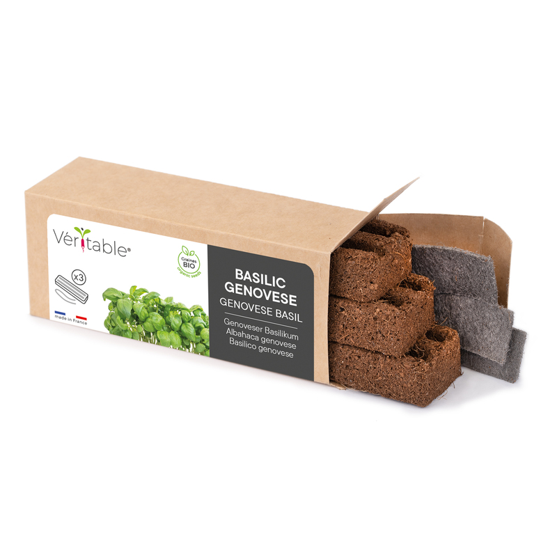 Each box contains 3 Lingots of microgreens