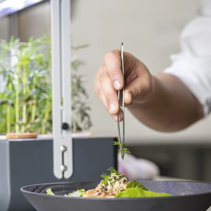 Microgreens: jewels of modern cuisine