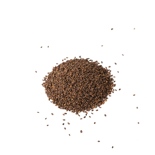 Seed - Agastache microgreens