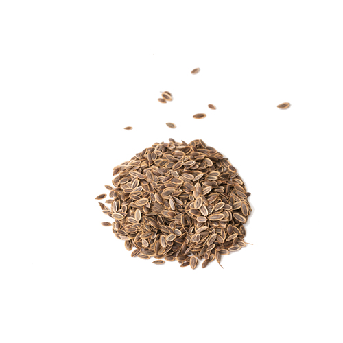 Seed - Dill microgreens