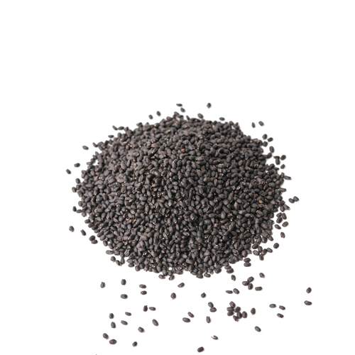 GrainesMicropousses Basilic citron