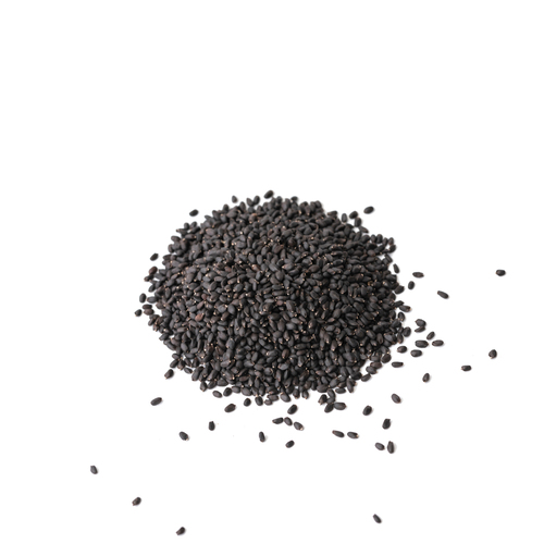 Seed - Genovese basil microgreens