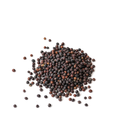 Seed - Broccoli microgreens