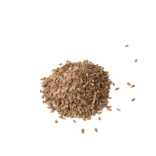 Seed - Carrot microgreens
