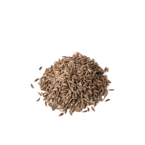 Seed - Caraway microgreens