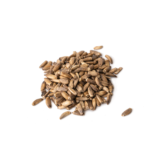 Seed - Milk thistle microgreens