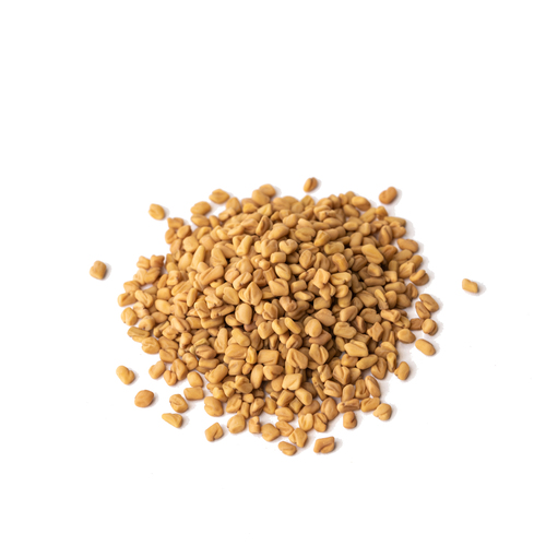 Seed - Fenugreek microgreens