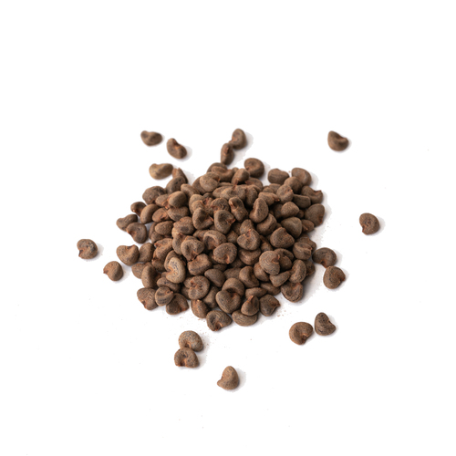 Seed - Hibiscus microgreens