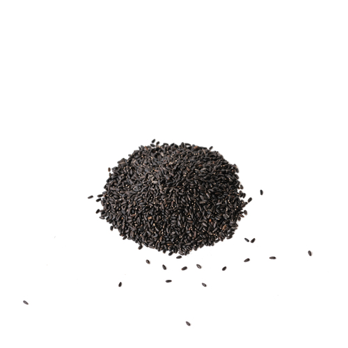 Seed - Lemon balm microgreens