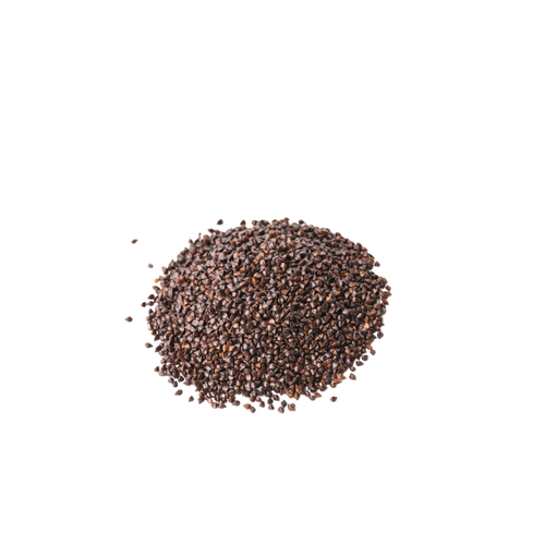 Graines Micropousses Oseille sanguine