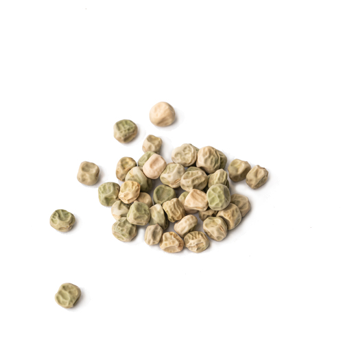 Seed - Peas microgreens