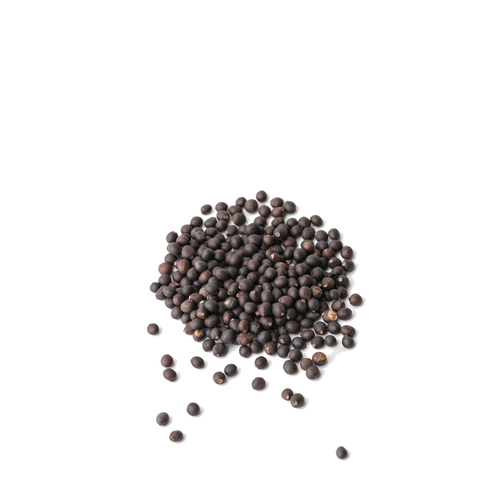Seed - Sage microgreens