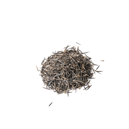 Seed - Citrus tagetes microgreens