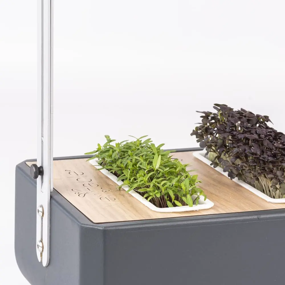 Harvest your microgreens on demand
