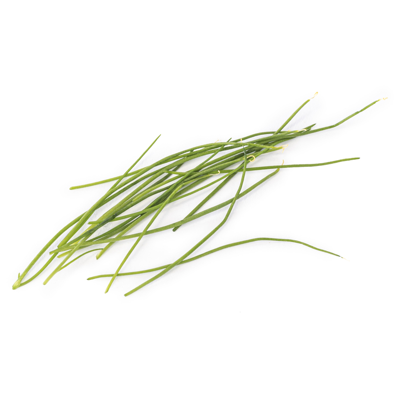 Garlic microgreens