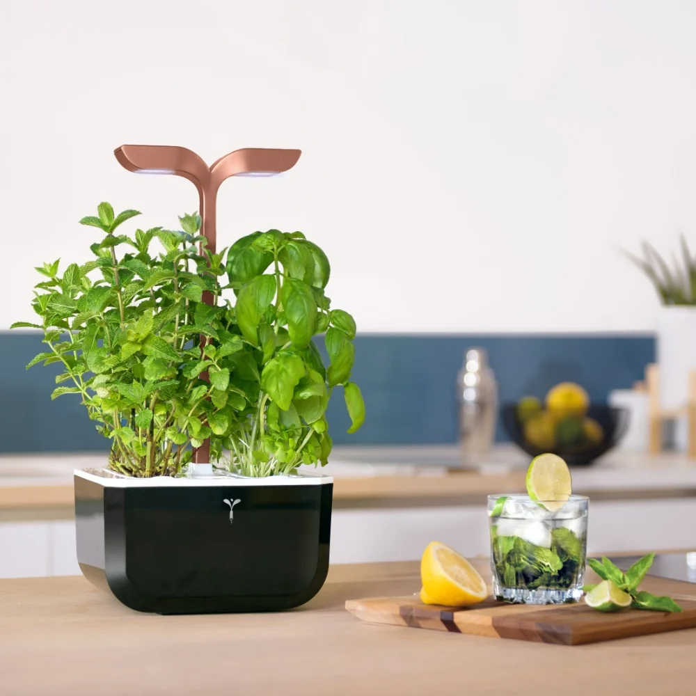 SMART - Son éclairage adaptatif est parfait pour toutes les pièces