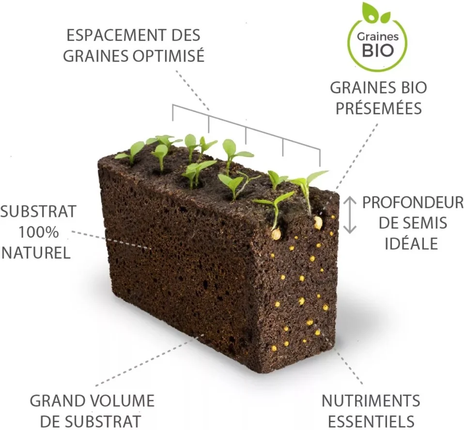 Technologie Lingots® Véritable®