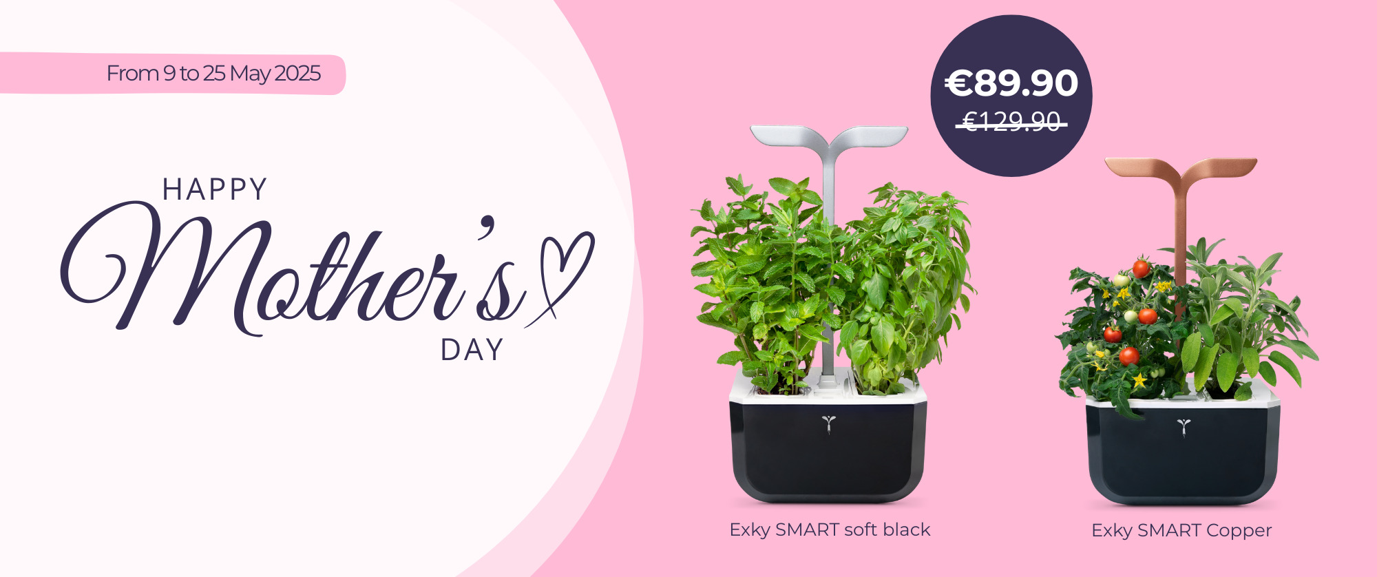 Give your mom flowers that last for months in their Exky vegetable garden