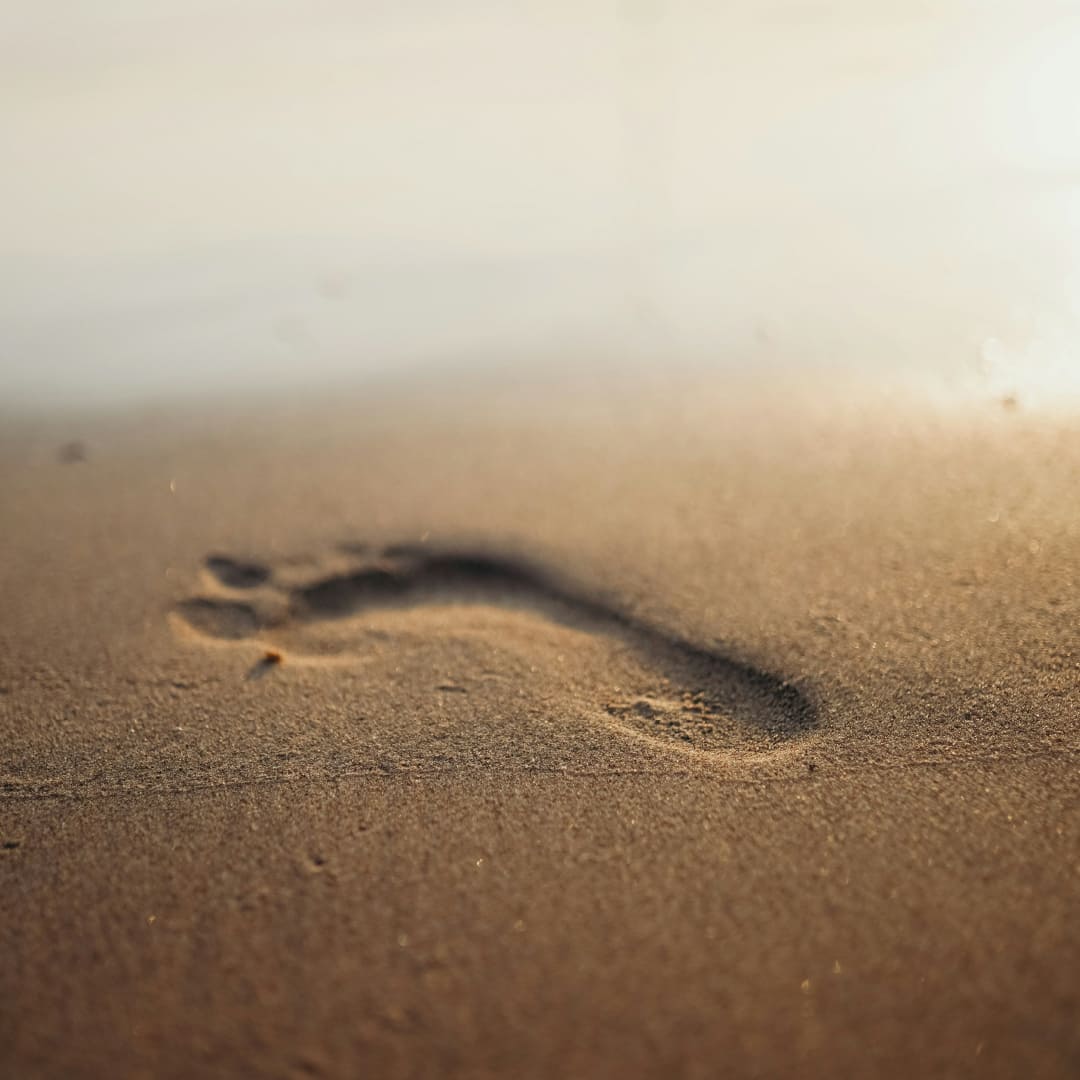Les expéditions des commandes reprendront le lundi 25 août ! Bonnes vacances