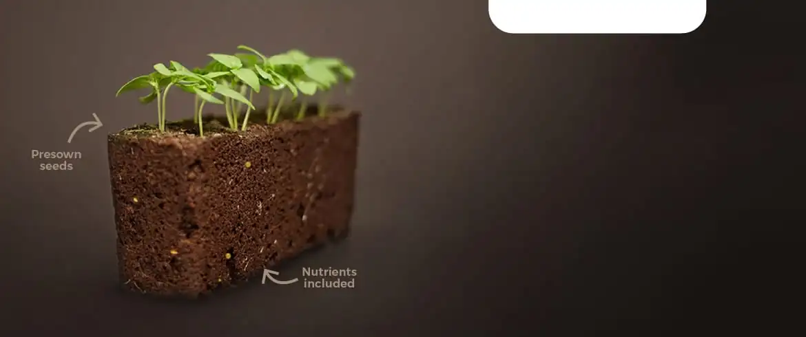Discover the germination warranty
