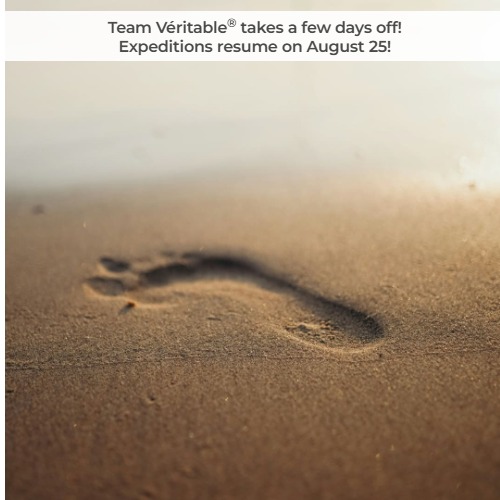 Slide thumbnail