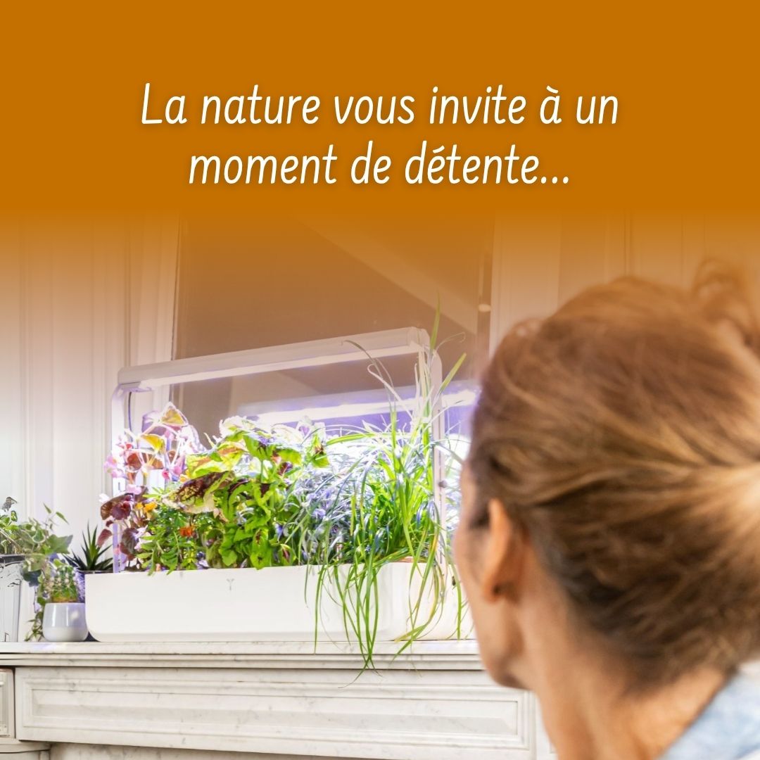 Notre sélection de Lingots pour cet automne !