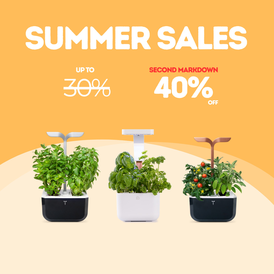 Botanéo and Exky SMART SB and CO vegetable gardens on sale at Véritable