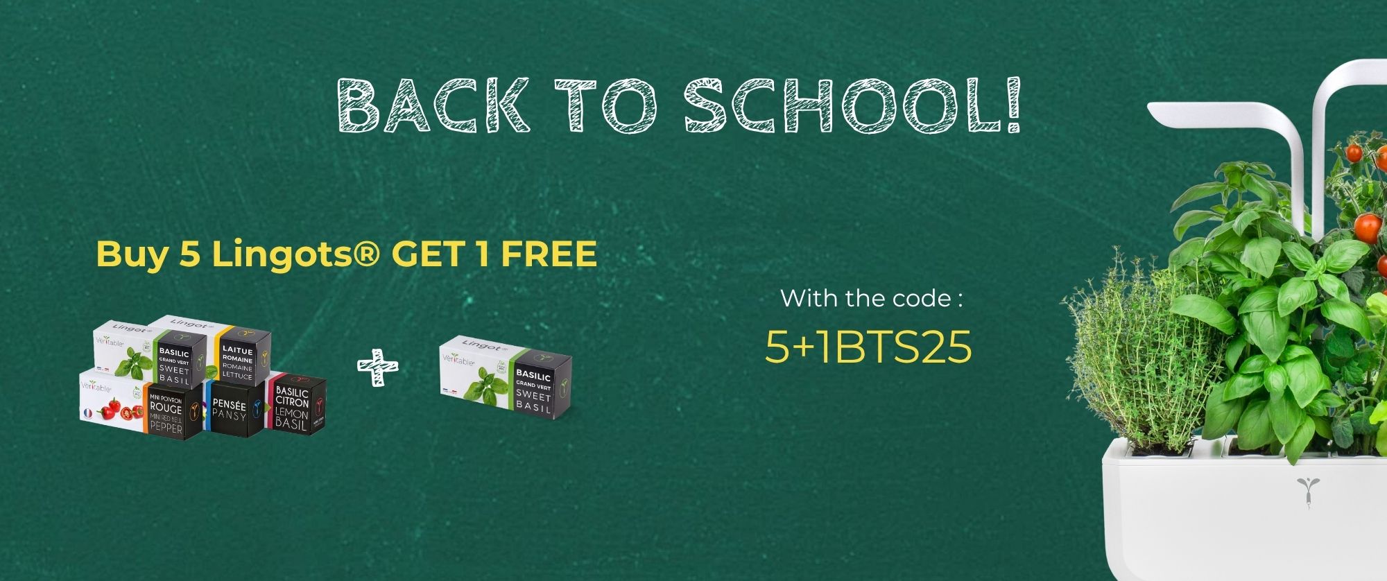 It's back to school time! Now's the time to stock up on Lingots!