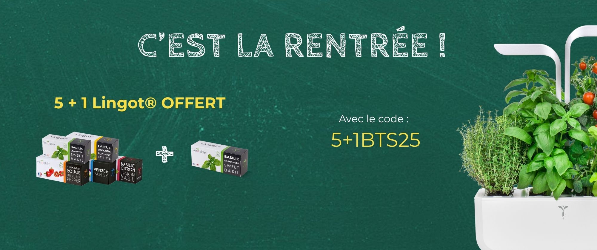 C'est la rentrée ! C'est le moment de faire le plein de Lingots !