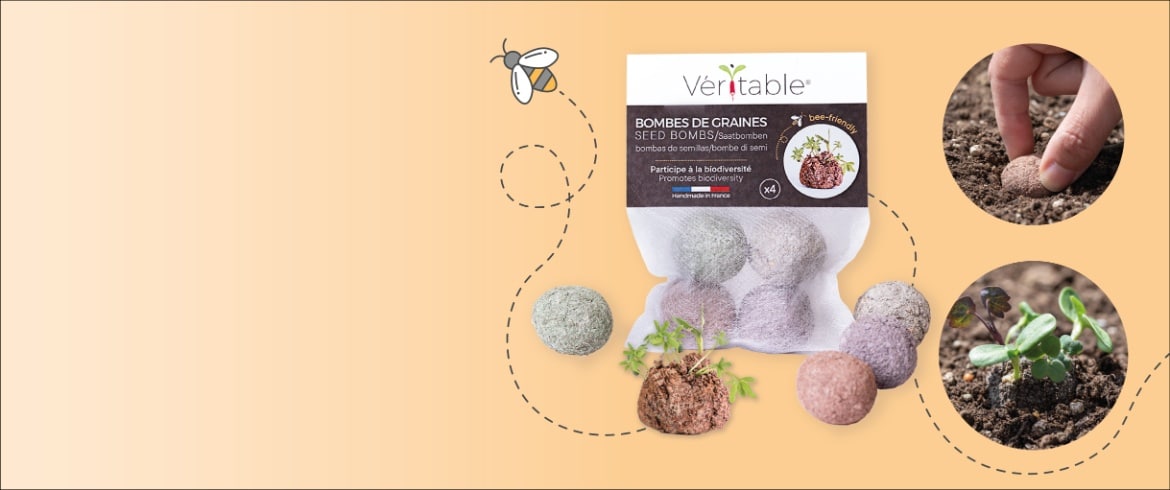 Véritable seed bombs bring new life to abandoned spaces!