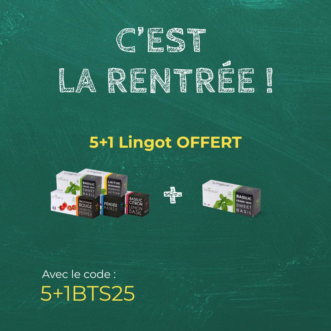 C'est la rentrée ! Je fais le plein de Lingots !