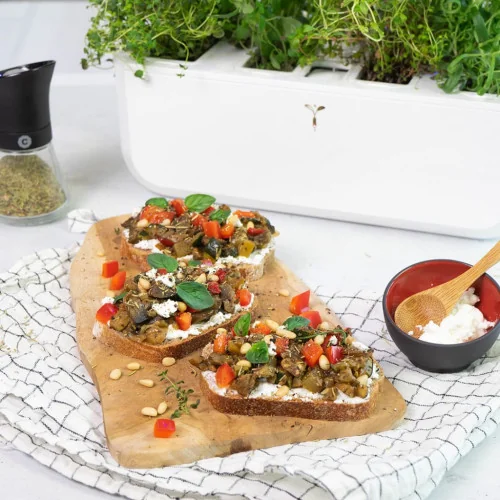 Tartines aux légumes du soleil, chèvre frais et herbes de Provence