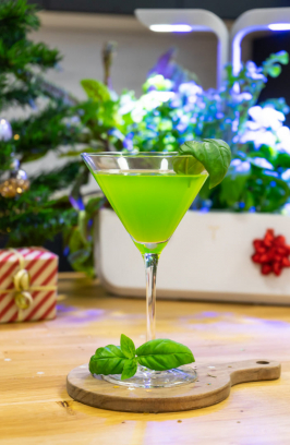 Basil-Infused Gin Cocktail