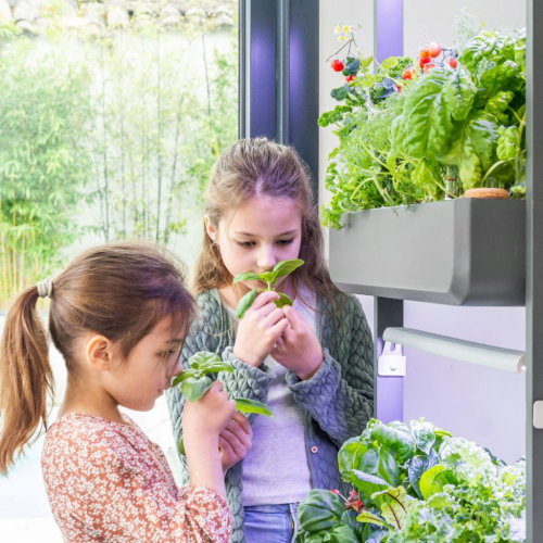 Learning by Growing: The Indoor Garden as an Educational Tool at Home