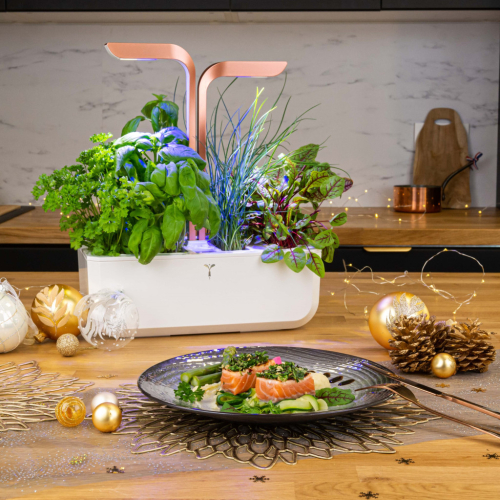 Sublimez vos repas de fêtes avec des herbes fraîches et gourmandes
